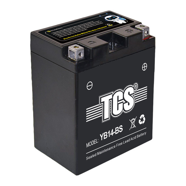 TCS High Quality Battery for 12V 20AH Motorcycle Battery for Most Motorcycle