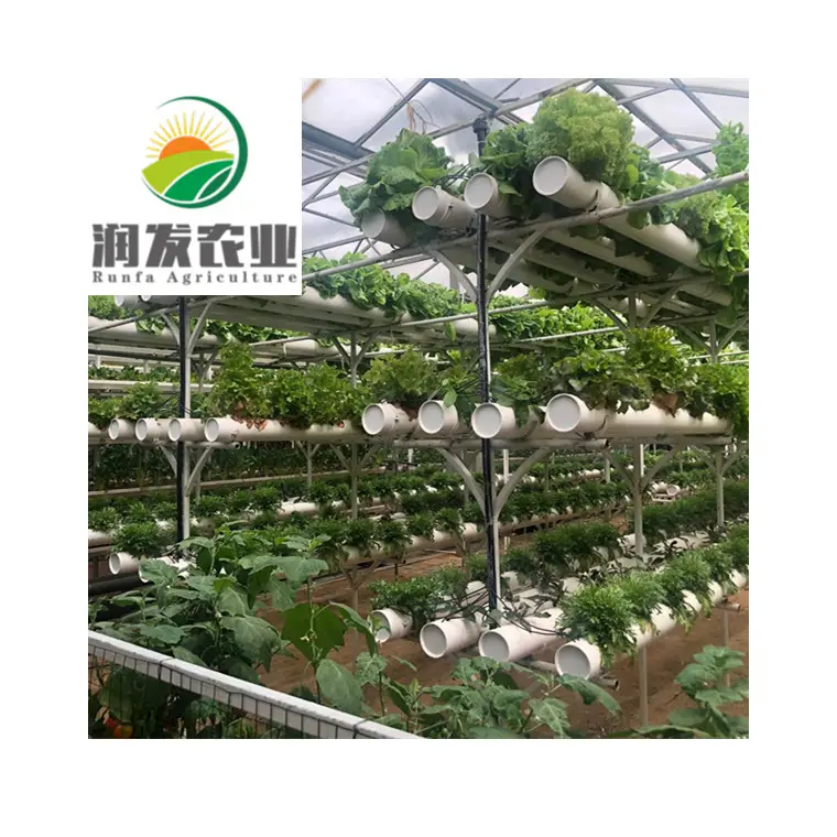 Torre verticale del giardino della casa dei sistemi di coltivazione idroponica di Nft con luce principale