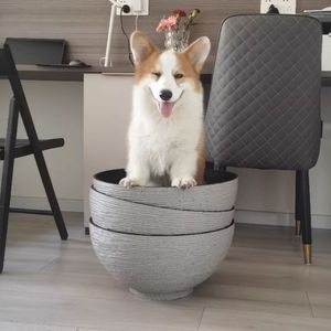 <span class=keywords><strong>Piedra</strong></span> <span class=keywords><strong>de</strong></span> imitación <span class=keywords><strong>de</strong></span> gran diámetro, maceta <span class=keywords><strong>de</strong></span> plástico para bonsái, <span class=keywords><strong>macetas</strong></span>, cuenco grande, maceta <span class=keywords><strong>de</strong></span> flor <span class=keywords><strong>de</strong></span> LOTO - Product Image 4