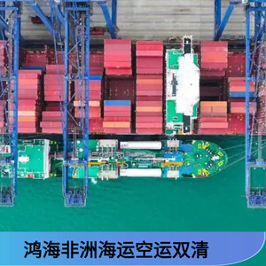 Logística de Hon Hai en África, Transporte Marítimo y Aéreo LCL al Puerto, Transporte de Carga Aérea al Aeropuerto, África - Product Image 3