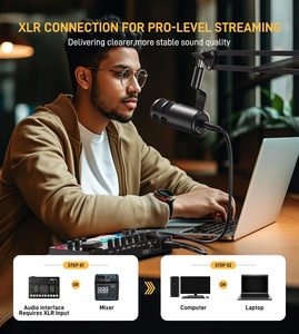 Microphone Mixer Audio Dj Dynamic Sound Card Live Broadcast MIC <b>Stand</b> USB Wireless <b>Recording</b> Professional Gam - Product Image 2