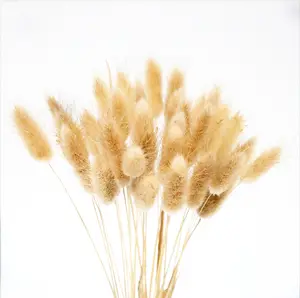 QSLH-00247 Minimalism Brown Pampas Grass Small Pampas Grass for Wedding