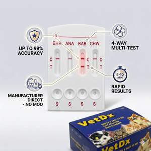Pruebas rápidas felinas FPV/FCOV/FCV/FHV/<span class=keywords><strong>Toxo</strong></span> 5 en 1, tiras de prueba de diagnóstico veterinario para calicivirus y parvovirus. - Product Image 2