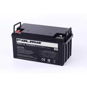 UPS PM65-12 d'alimentation de secours 12V65AH batterie de stockage d'énergie solaire PALMA batterie de marque coréenne