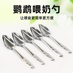Cuchara de Alimentación para Crías de Periquitos y Cacatúas, Alimentador de Fórmula, Cuchara para Loro Crianza Manual, Juego de Cucharas de Plástico Duradero de Forma Redonda para Todas las Estaciones - Product Image 4