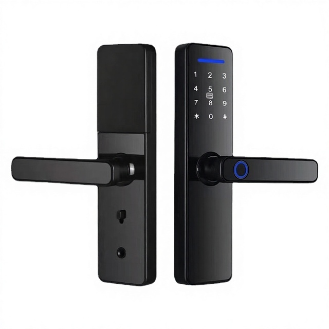 S811 Hot Sale Indoor Door Lock Graffiti Tuya App Control Smart Lock with Fingerprint Password Card Mechanical Key-Aluminum Alloy