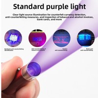 Détecteur de billets UV, mini lampe torche LED alimentée par batterie 0,5W, porte-clés, lampe torche portable en alliage d'aluminium, anti-UV