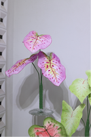 Daun Monstera Anthurium Philodendron Buatan Tahan Air dari EVA yang Dapat Disesuaikan, Bunga Besar untuk Pernikahan, Pajangan Luar Ruangan, dan Mal