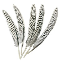 Plumes de faisan de carnaval de 15 à 20 cm, queue argentée naturelle, accessoires de bricolage, masque de scène, matériaux décoratifs