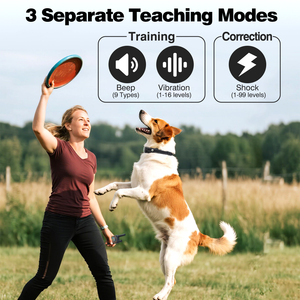3 Dogs Control <b>Remote</b> Training Collar IP67 Waterproof Rechargeable Anti Bark Collar For Family Multi-Pet Obedience training - Product Image 5