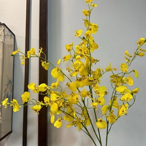 Orchidée jaune à longues tiges KW-F031, orchidée dansante d'automne pour la décoration <span class=keywords><strong>de</strong></span> mariage - Product Image 5