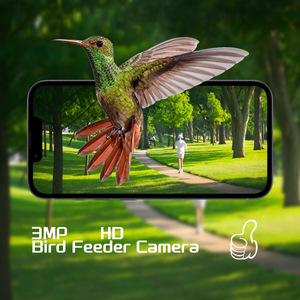 Comedero Inteligente para Colibríes <span class=keywords><strong>con</strong></span> Cámara 3MP HD, Identificación por IA, WiFi Inalámbrico, Alimentador <span class=keywords><strong>de</strong></span> Aves para Exteriores <span class=keywords><strong>con</strong></span> Energía Solar para Jardín - Product Image 3