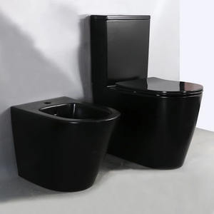 Inodoros y lavabo de bidé compactos modernos personalizados con estructura de dos piezas de trampa P para baño moderno - Product Image 6