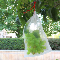 Witte Vlieg Tomaat Plant 50X50 Mesh Anti Tuin Tunnel Agrarische Insectengaas Voor Tuin Groenten Fruit Dadels