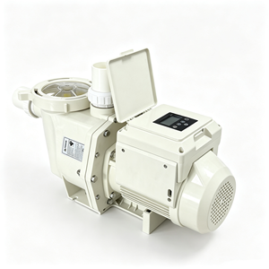 Pompe à vitesse variable Pentair Astral Emaux, pompe de piscine à économie d'énergie, réglage intelligent, pompe à eau pour piscine. - Product Image 1
