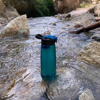 Bouteille filtrante à eau de haute qualité pour l'extérieur, portable, logo personnalisé, purification Tritan, randonnée, escalade, camping, 650 ml, étanche