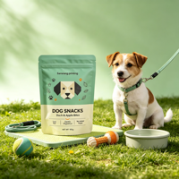 Sachets Doypack Personnalisés de Haute Qualité pour Aliments pour Animaux, Anti-Humidité, Anti-Odeur, en Nylon BOPP, Refermables avec Fermeture Éclair, pour Friandises
