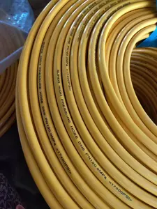 Customized 400MPa Nylon Polytetrafluoroethylene Hose Made In China