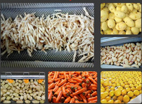 Fabrieksdirect automatische industriële aardappel- en wortelschilmachine voor aardappelverwerkingsbedrijven
