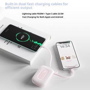 Vente <span class=keywords><strong>en</strong></span> gros d'usine, batterie externe portable de grande capacité 20000 mAh, charge rapide 22,5 W, double USB pour iPhone 16 - Product Image 4