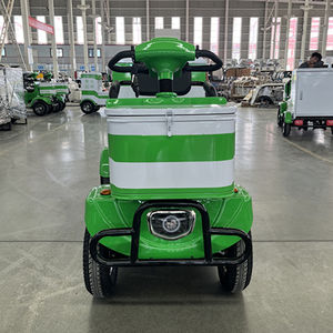 Minibús Eléctrico Popular 2025 para Jardinería y Turismo en Zonas Turísticas - Hecho en China - Product Image 2