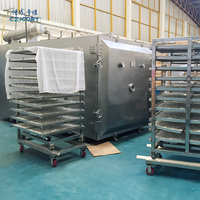 Secador de vacío YZG/FZG para alimentos de frutas GMP de baja temperatura