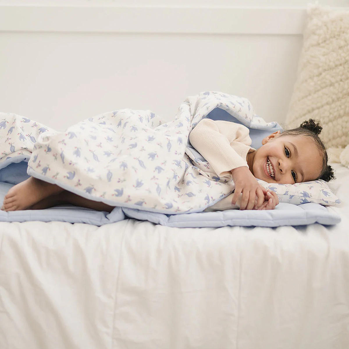 Paloma voladora azul