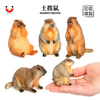 Figurines d'animaux de safari en PVC solide en gros, figurines de jouets de marmotte