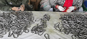 Fabrika yüksek kalite M5-M12 paslanmaz çelik yapış kanca karabina klip vidalı - Product Image 5