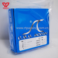 Lame de couteau de précision originale italienne CBG ACCIAI, impression Doctor BladeW30/20x0.2mm XL100m/SC1.3x0.1mm