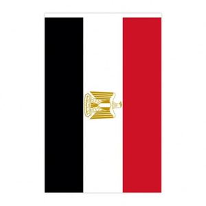 Rectangle Egypt 5.5*8.2 Inch Bunting <b>Flag</b> String of Egyptian Wholesale Polyester Banner for National Events Decoration - Product Image 4