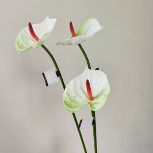 Hot Bán Nhân Tạo Bất Cảm Ứng Hoa Giống Anthurium Nhà Máy Trang Trí Đám Cưới Nguồn Cung Cấp Hoa Nhân Tạo - Product Image 2