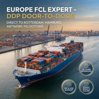 Agent maritime professionnel de fret conteneurisé (FCL) Chine-Europe, 12 ans d'expérience avec des solutions de conteneurs complets 20GP, 40GP, 40HQ