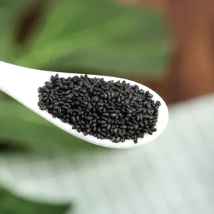 Qingchun Wholesale Supplier High Quality Basil Seeds Best Price