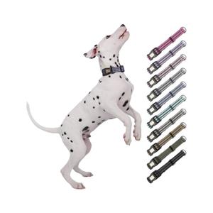 <span class=keywords><strong>Collar</strong></span> de perro con grabado antirrienda reflectante transfronterizo, cuerda de tracción de nailon acolchada para mascotas, entrenamiento de perros grandes a prueba de explosiones - Product Image 5