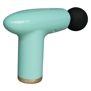 Massage <b>Gun</b> Emerald Green Brushless Motor 6 Speed Levels 5 Massage Heads USB Rechargeable Lithium <b>Battery</b> - Product Image 3