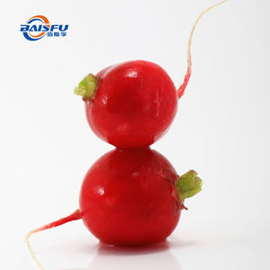 天然色素にんじんエキス濃縮赤大根色カラフルな発酵食品 & フレーバー用 - Product Image 4