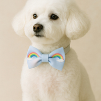 Netter bunter Regenbogen-Hunde bogen verstellbarer weicher Stoff Lustige Haustier-Krawatte Benutzer definiertes Logo Haustier-Fliege für Katzen Kleine Hunde