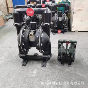 Pompe à diaphragme pneumatique Bqg350 0.2 avec raccord à bride DN50 pour le drainage des mines - Product Image 3