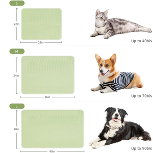 Tapis d'apprentissage personnalisé, réutilisable, lavable, imperméable, antidérapant, hygiénique et respirant en maille pour chiens et chats, imprimé, été - Product Image 5