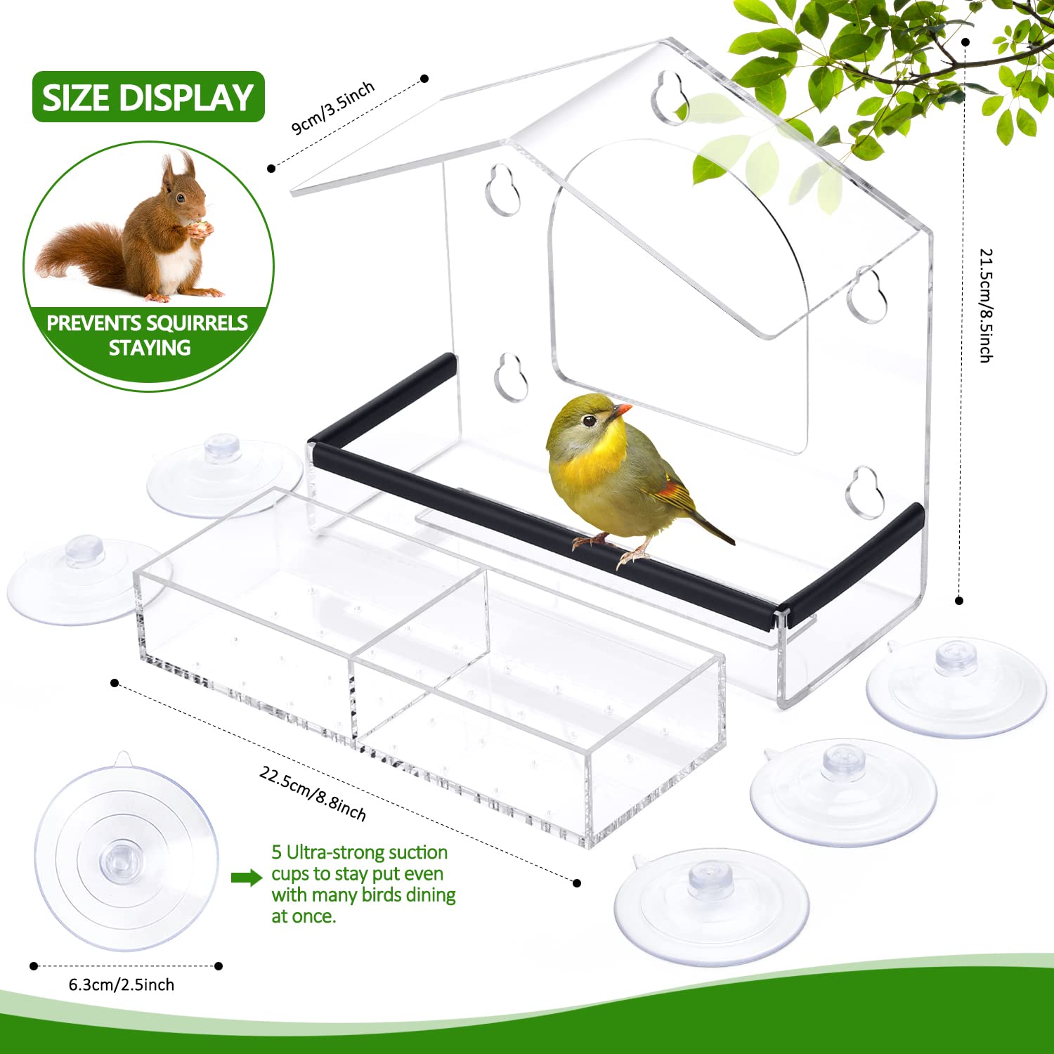 Transparent 1pcs