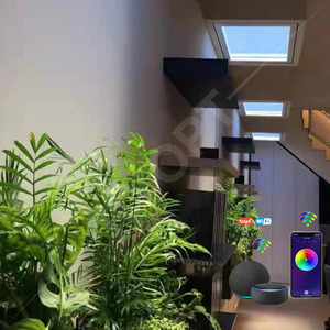 Panneau lumineux LED Alexa Skylight <span class=keywords><strong>Coelux</strong></span>, lampe de plafond, ciel bleu, lumière de panneau commerciale, en stock au Royaume-Uni - Product Image 1