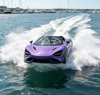 Bateau sportif haut de gamme en fibre de verre avec moteur hors-bord 90/115 CV, vitesse de 50 km/h, idéal pour les loisirs aquatiques en station balnéaire et en parc