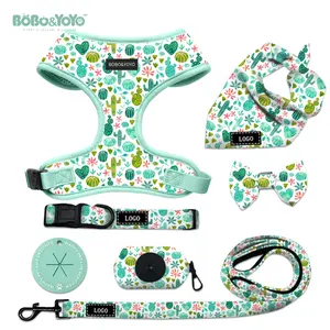 2024 Designer de luxo com logotipo personalizado, coleira de Neoprene sem tração para cães e gatos, conjunto de coleira e coleira de chumbo