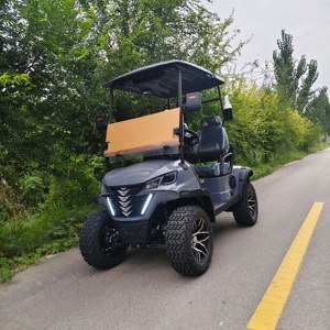 Carrito de Golf <span class=keywords><strong>El</strong></span>éctrico de 2 Plazas con Batería de Litio, Certificado por DOT, para Campos de Golf y Vecinados - Product Image 6