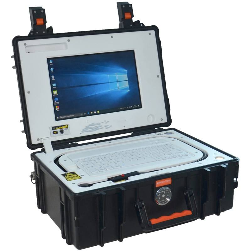 Rapid Raman Instrument SSR-3000 Handheld Raman Spectrometer Portable Food Safety Detection ...