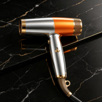 Sèche-cheveux professionnel ionique haute vitesse 2000W avec moteur BLDC, séchage rapide, cordon de 3,5m pour salon de coiffure, vente en gros