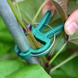 Venda quente Fábrica Direta De Plástico Plantas De Escalada De Tomate Enxerte Clipes