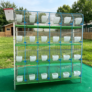 Vente flash : <span class=keywords><strong>Cage</strong></span> à lapins industrielle européenne 24 portes, prix avantageux, haute qualité - Product Image 1