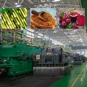China Powder Xylitol Extraction Machine Sugar Production Line from Beet